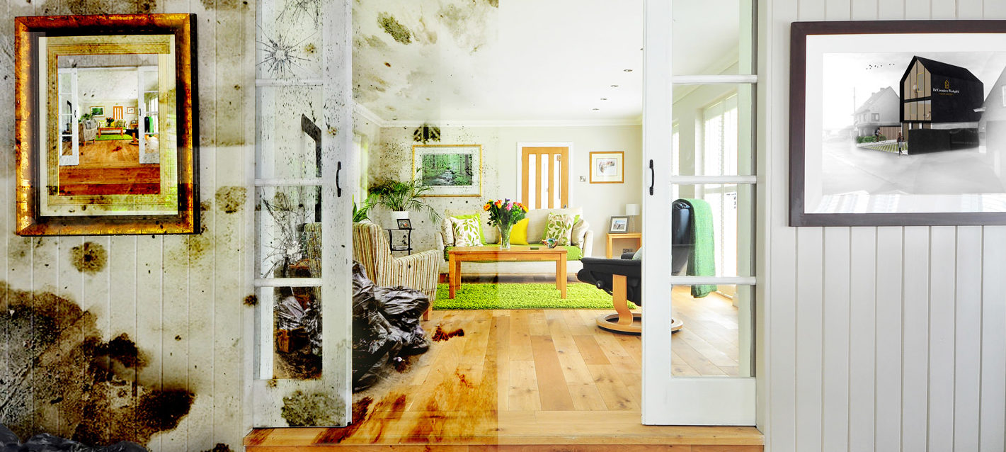 conceptbeeld_website